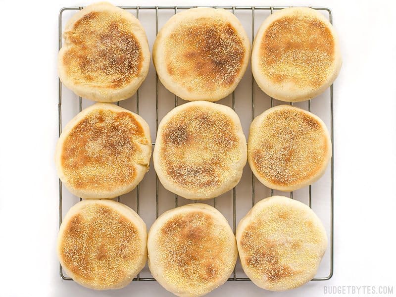 Sourdough English Muffins